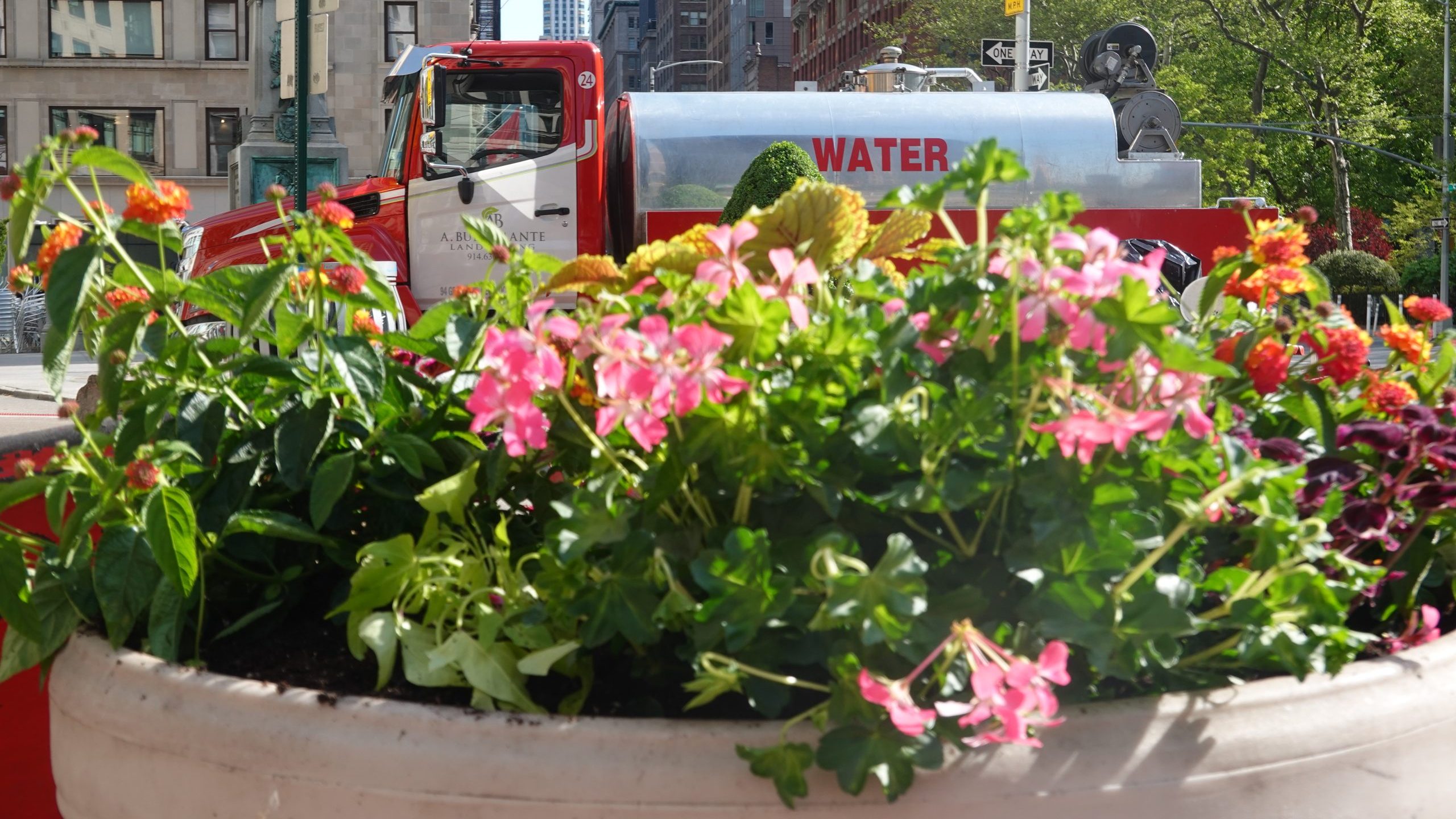 Plaza planter in foreground with watering truck in background